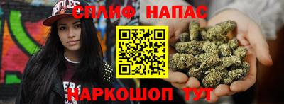 молекула духа Шелехов