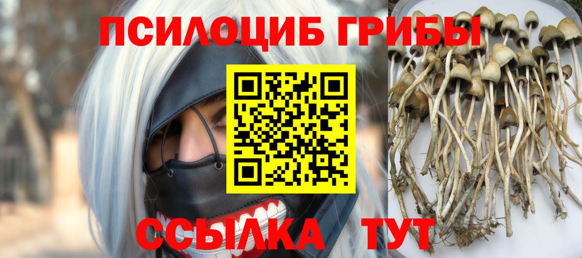Псилоцибиновые грибы MAGIC MUSHROOMS  Псилоцибиновые грибы Psilocybe  Аша  Вход с VPN 